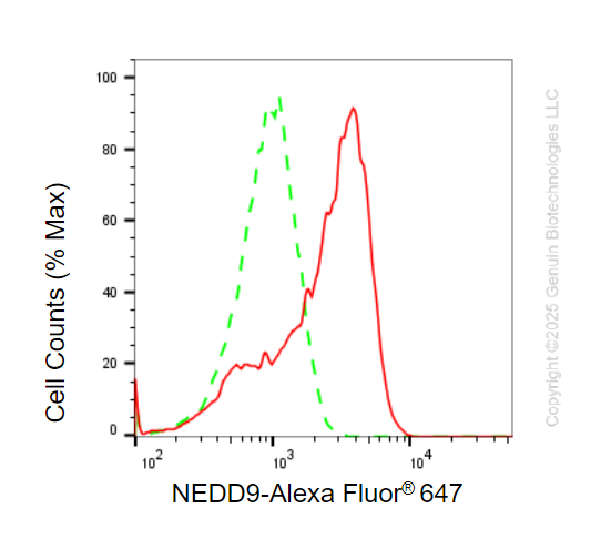 KD-Validated Anti-NEDD9 Mouse Monoclonal Antibody ABG2222