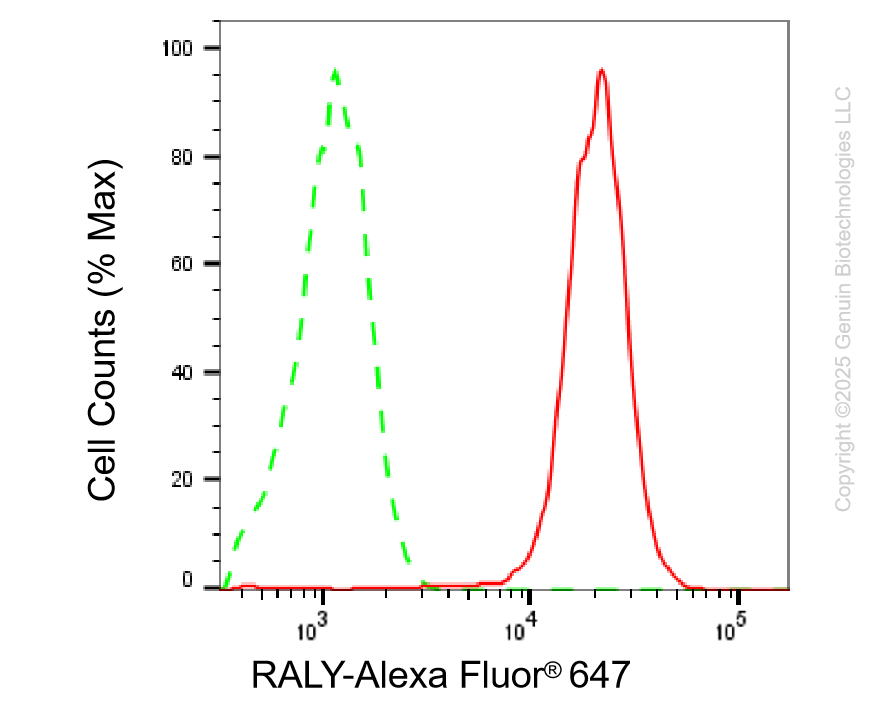 KD-Validated Anti-RALY Mouse Oligoclonal Antibody ABG2224