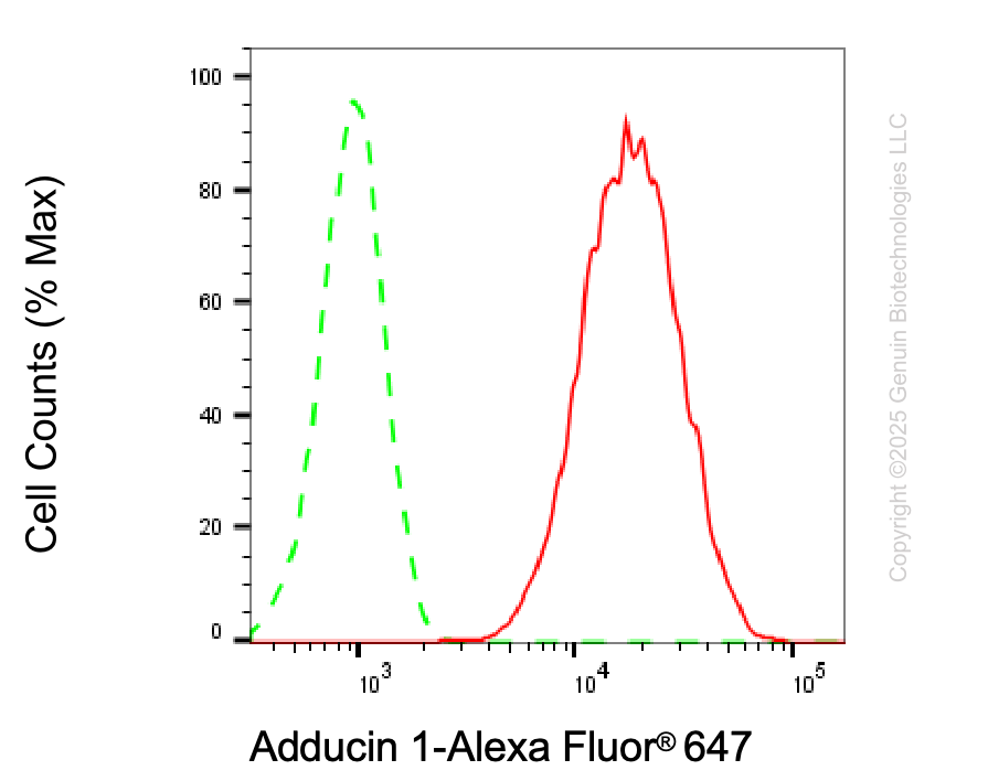 KD-Validated Anti-ADD1 Mouse Oligoclonal Antibody ABG2225