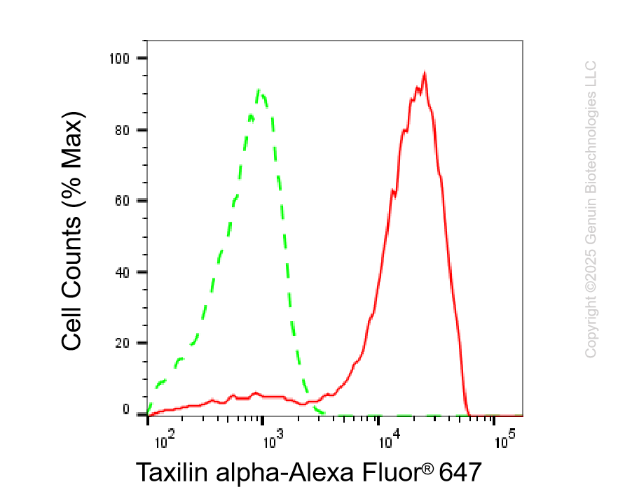 KD-Validated Anti-TXLNA Mouse Oligoclonal Antibody ABG2226