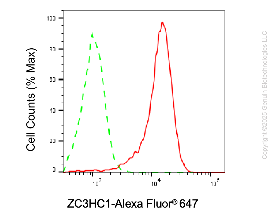 KD-Validated Anti-ZC3HC1 Mouse Oligoclonal Antibody ABG2228