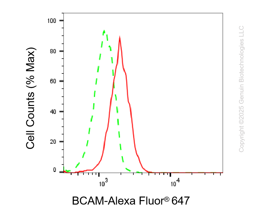 KD-Validated Anti-BCAM Rabbit Monoclonal Antibody ABG2236