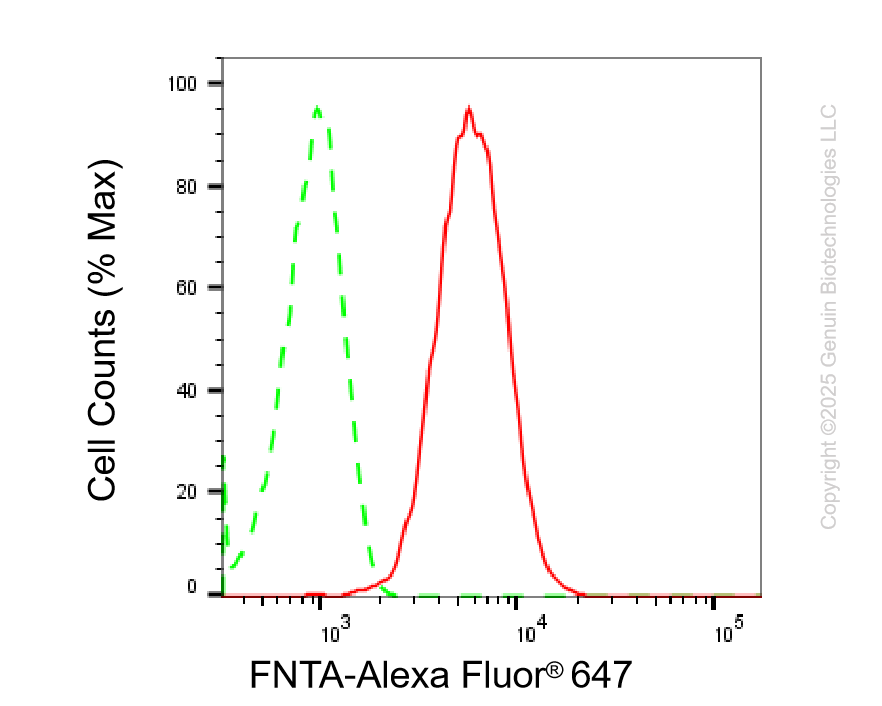 KD-Validated Anti-FNTA Rabbit Monoclonal Antibody ABG2237