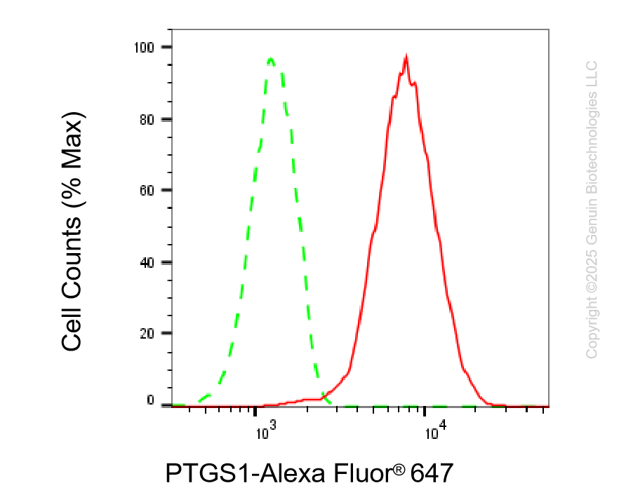 KD-Validated Anti-PTGS1 Rabbit Monoclonal Antibody ABG2239