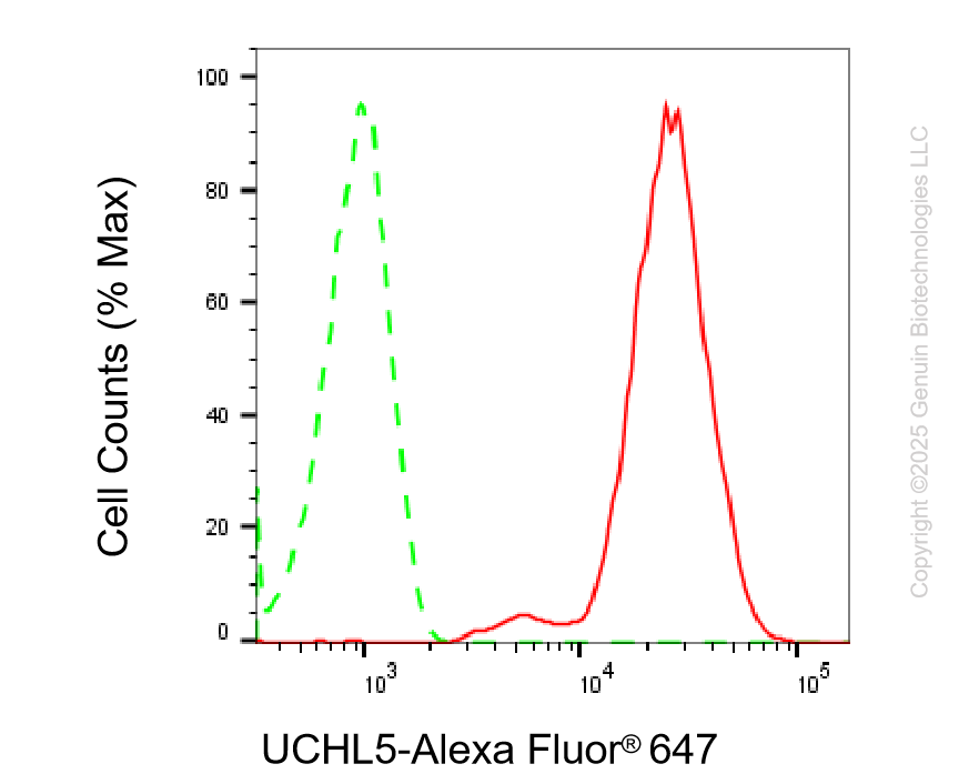 KD-Validated Anti-UCH L5 Rabbit Monoclonal Antibody ABG2242