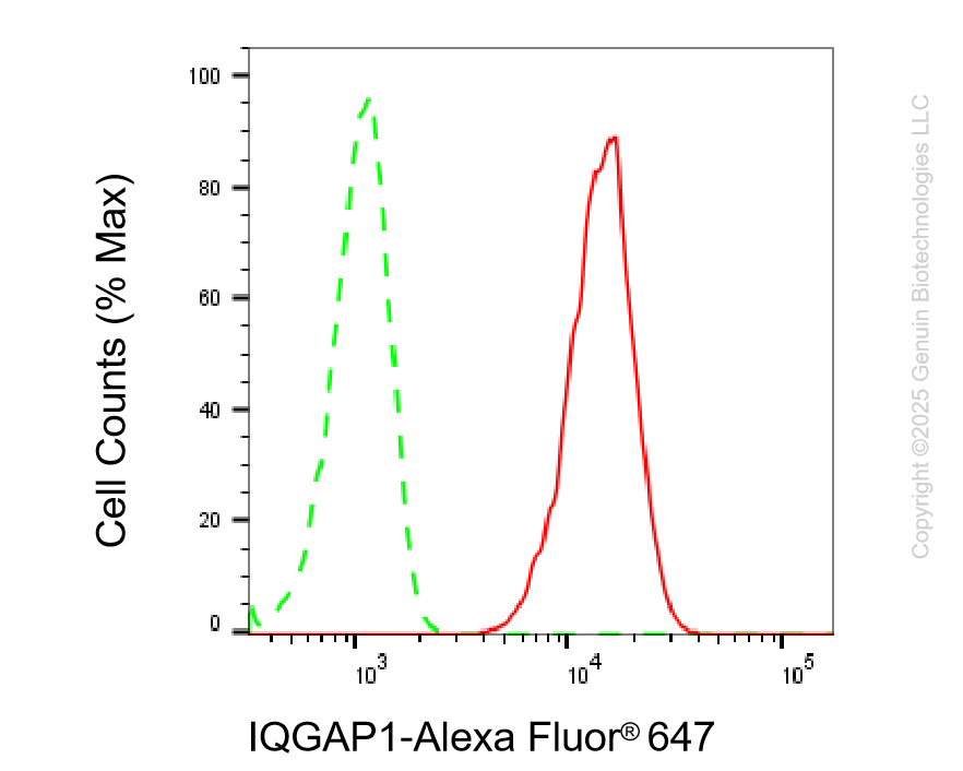 KD-Validated Anti-IQGAP1 Rabbit Monoclonal Antibody ABG2243