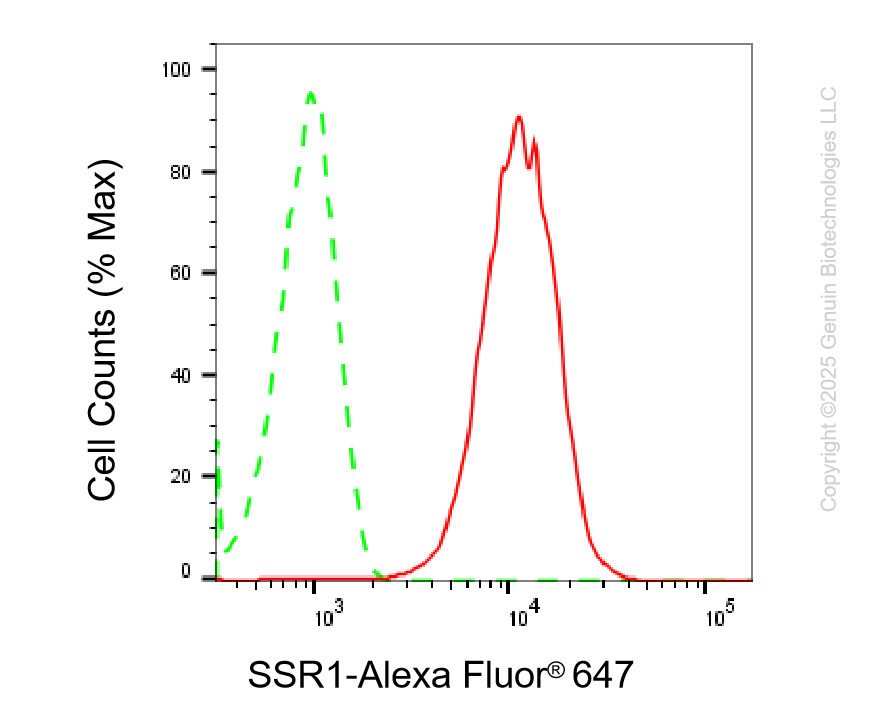 KD-Validated Anti-SSR1 Rabbit Monoclonal Antibody ABG2244