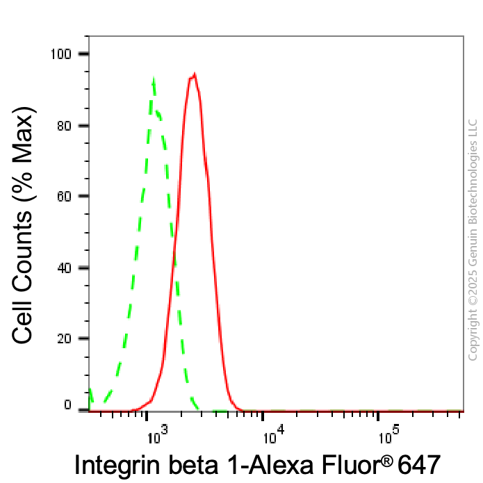KD-Validated Anti-Integrin β 1 Rabbit Monoclonal Antibody ABG2293