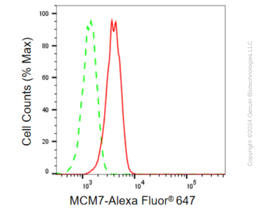 KD-Validated Anti-MCM7 Rabbit Monoclonal Antibody ABG2296