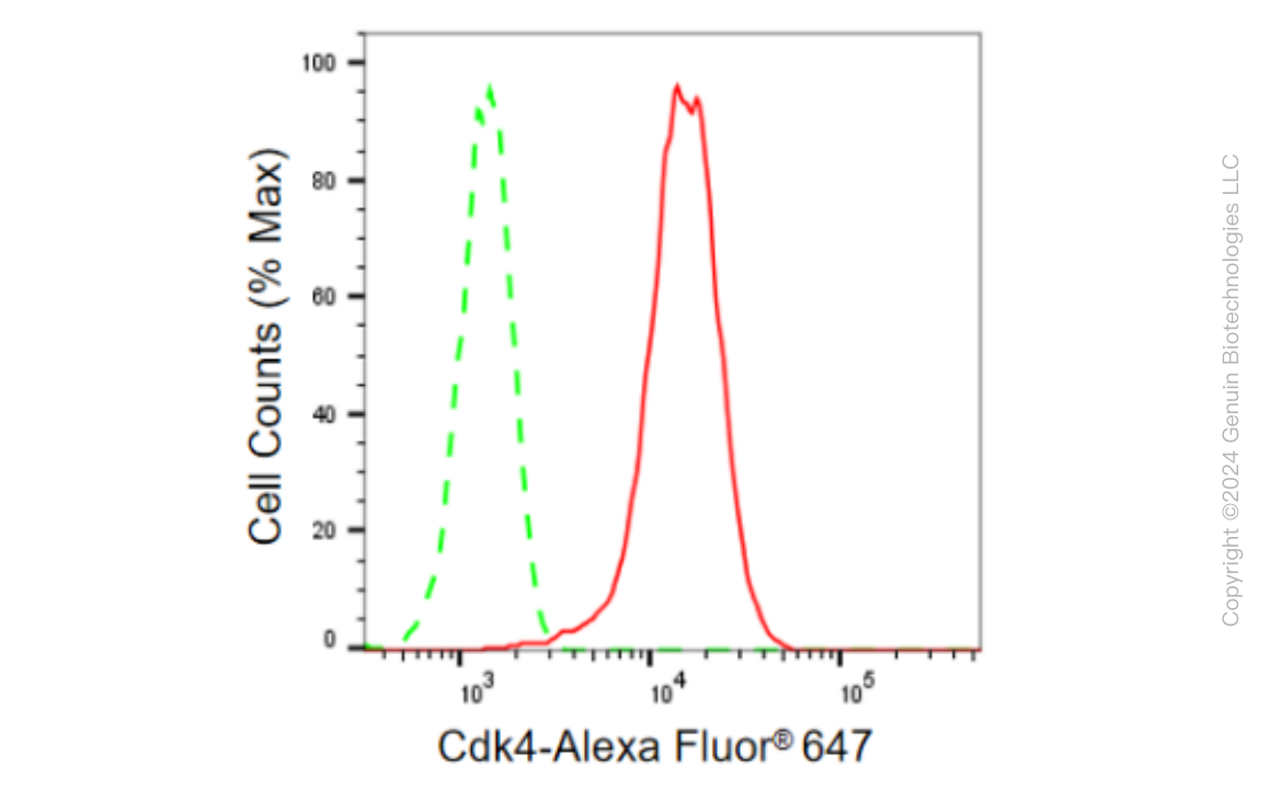 KD-Validated Anti-Cdk4 Rabbit Monoclonal Antibody ABG2298
