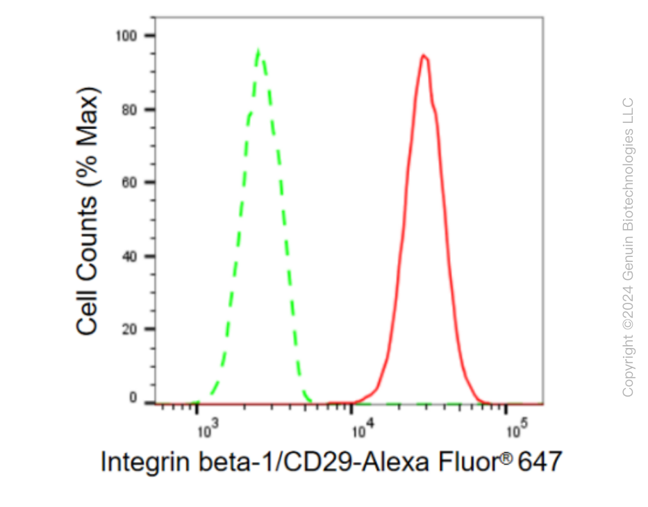 KD-Validated Anti-Integrin β1/CD29 Rabbit Monoclonal Antibody ABG2300