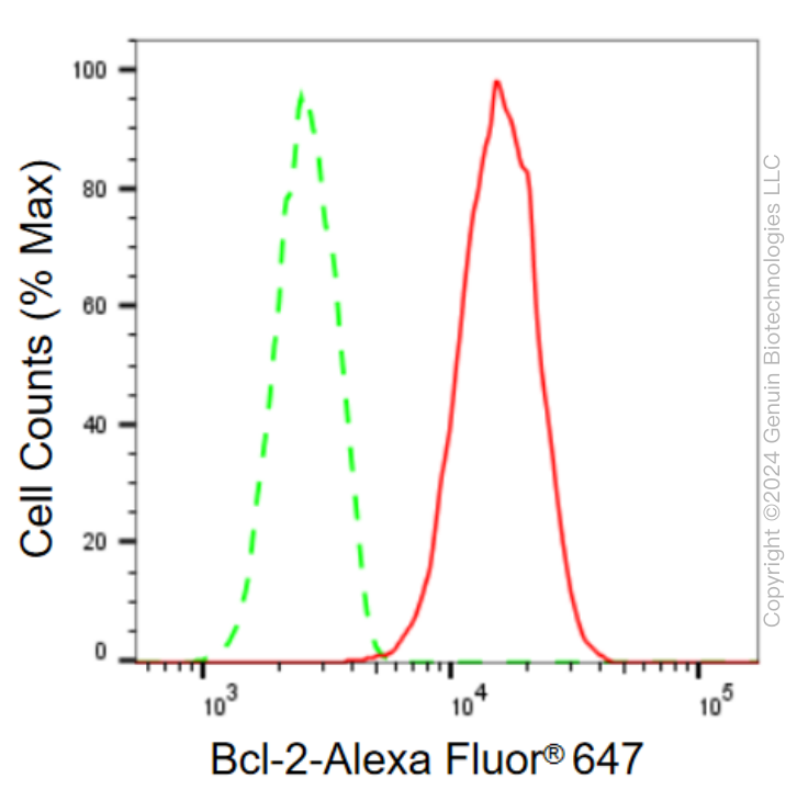 KD-Validated Anti-Bcl-2 Rabbit Monoclonal Antibody ABG2301