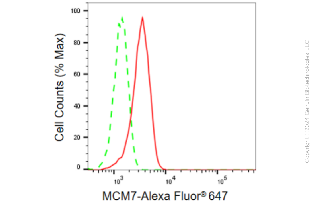 KD-Validated Anti-MCM7 Rabbit Monoclonal Antibody ABG2303