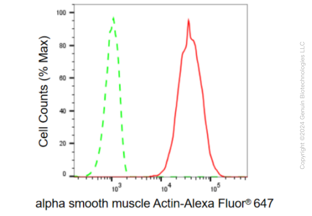 KD-Validated Anti-alpha smooth muscle Actin Rabbit Monoclonal Antibody ABG2304