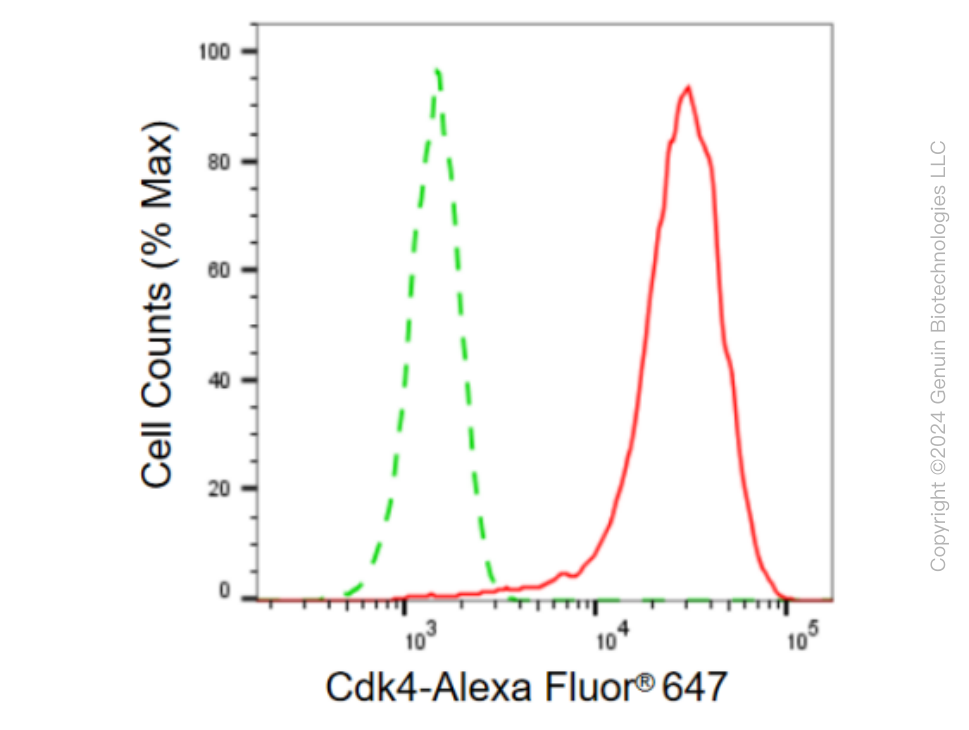 KD-Validated Anti-Cdk4 Rabbit Monoclonal Antibody ABG2305