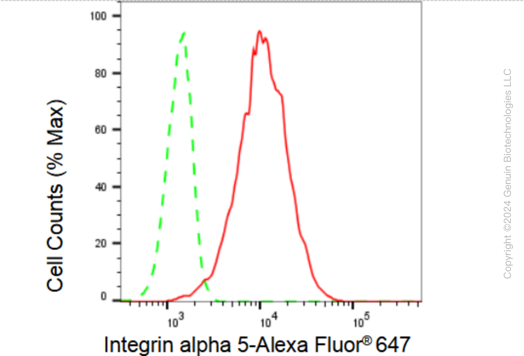 KD-Validated Anti-Integrin alpha 5 Rabbit Monoclonal Antibody ABG2306