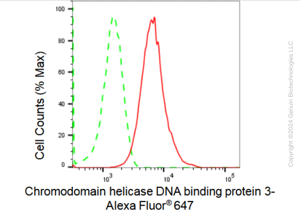 KD-Validated Anti-Chromodomain helicase DNA binding protein 3 Rabbit Monoclonal Antibody ABG2307