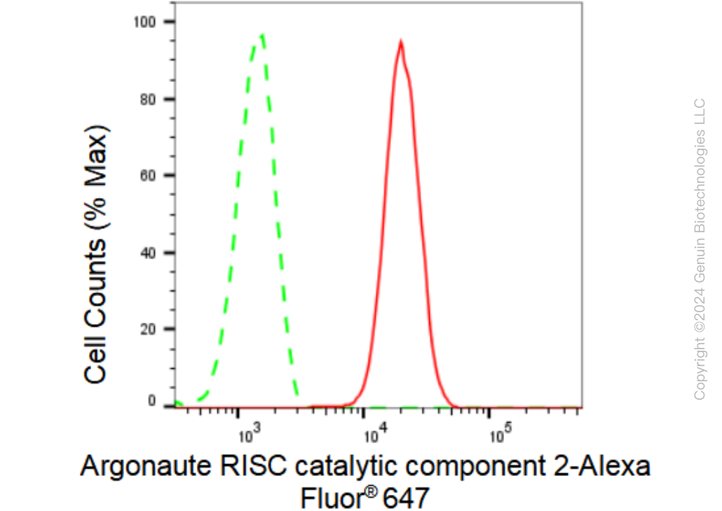 KD-Validated Anti-Argonaute RISC catalytic component 2 Rabbit Monoclonal Antibody ABG2308