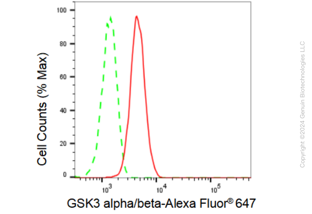 KD-Validated Anti-GSK3 alpha/beta Rabbit Monoclonal Antibody ABG2309