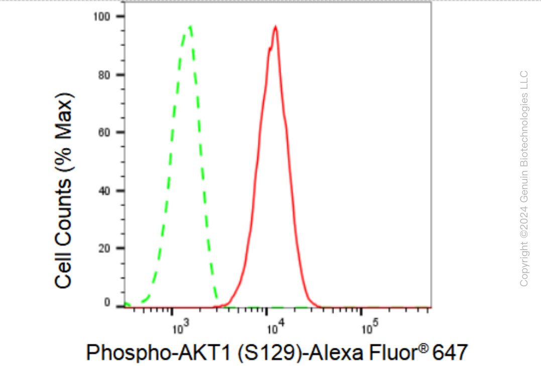 KD-Validated Anti-Phospho-AKT1 (S129) Rabbit Monoclonal Antibody ABG2311