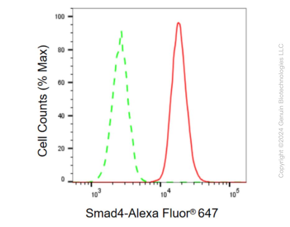 KD-Validated Anti-Smad4 Rabbit Monoclonal Antibody ABG2312