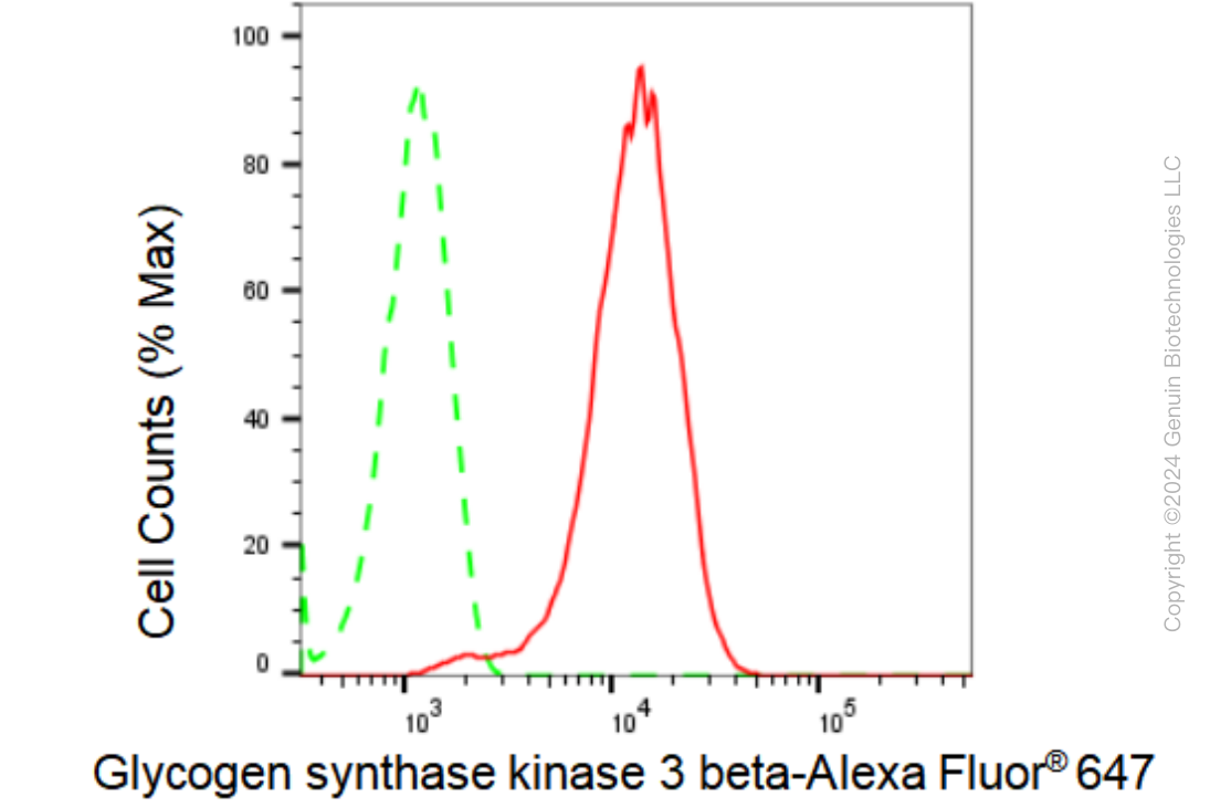KD-Validated Anti-Glycogen synthase kinase 3 beta Rabbit Monoclonal Antibody ABG2314