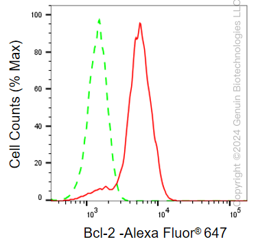KD-Validated Anti-Bcl-2 Rabbit Monoclonal Antibody ABG2315