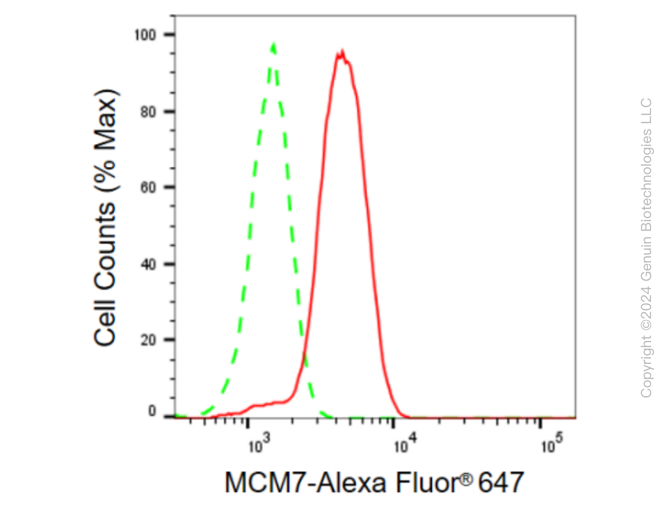 KD-Validated Anti-MCM7 Rabbit Monoclonal Antibody ABG2318