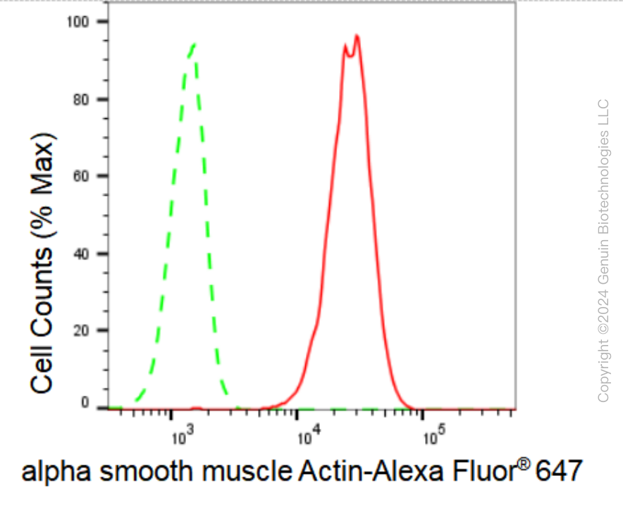 KD-Validated Anti-alpha smooth muscle Actin Rabbit Monoclonal Antibody ABG2319