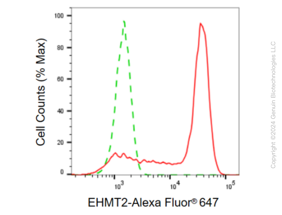 KD-Validated Anti-EHMT2 Rabbit Monoclonal Antibody ABG2322
