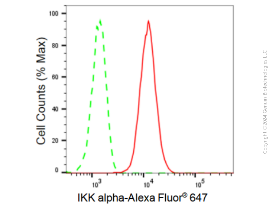 KD-Validated Anti-IKK alpha Rabbit Monoclonal Antibody ABG2323