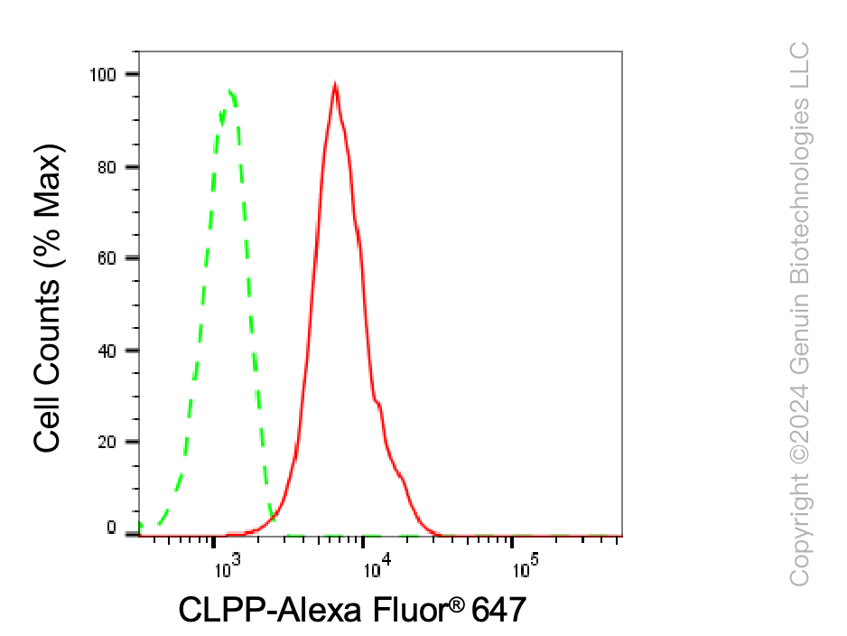 KD-Validated Anti-CLPP Rabbit Monoclonal Antibody ABG2328