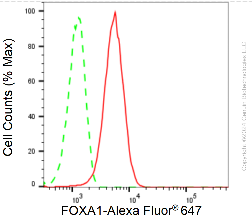 KD-Validated Anti-Forkhead box A1 Rabbit Monoclonal Antibody ABG2329