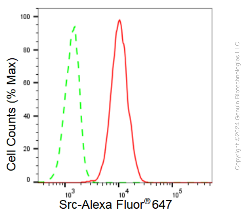KD-Validated Anti-Src Rabbit Monoclonal Antibody ABG2330