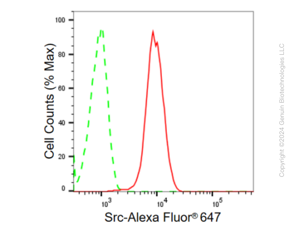 KD-Validated Anti-Src Rabbit Monoclonal Antibody ABG2331