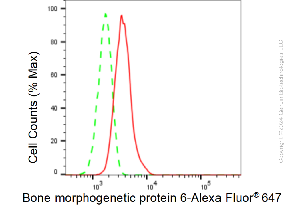 KD-Validated Anti-Bone morphogenetic protein 6 Rabbit Monoclonal Antibody ABG2332
