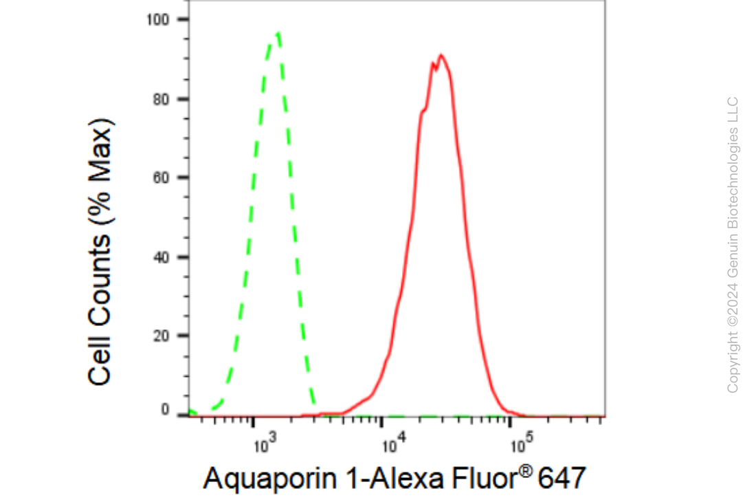 KD-Validated Anti-Aquaporin 1 Rabbit Monoclonal Antibody ABG2334