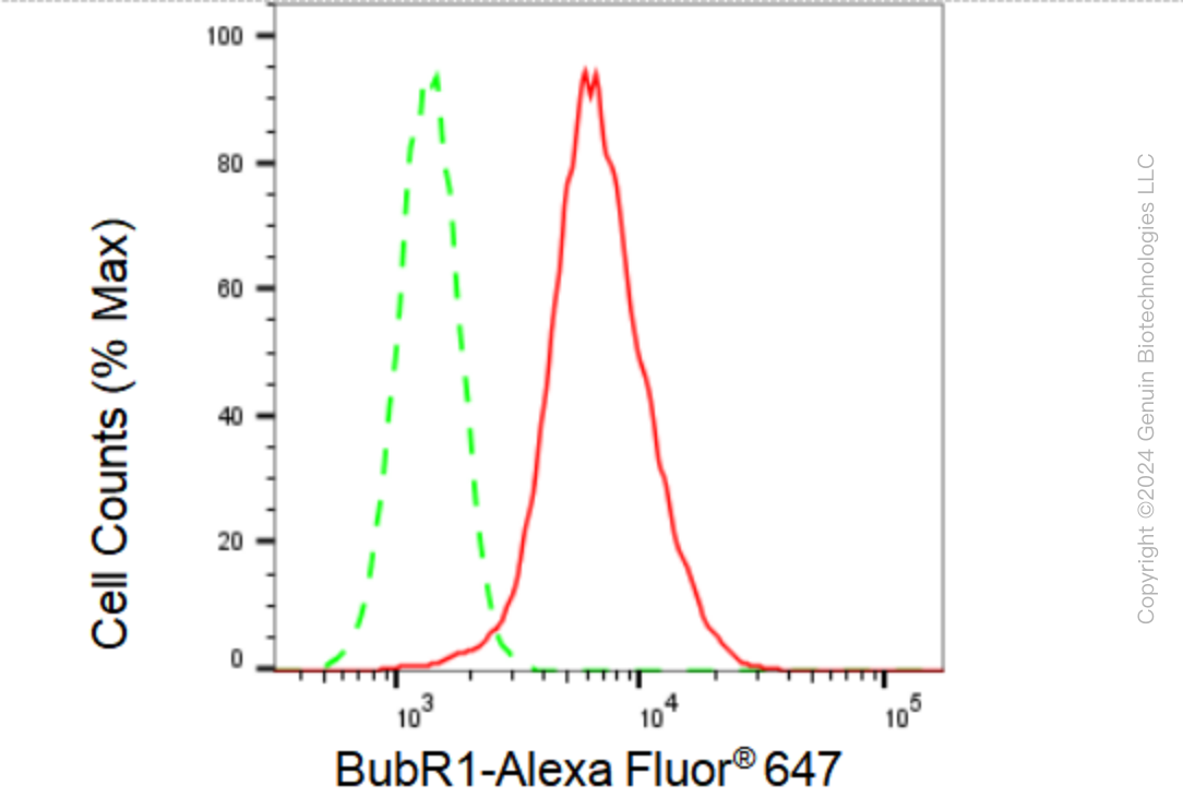 KD-Validated Anti-BubR1 Rabbit Monoclonal Antibody ABG2337