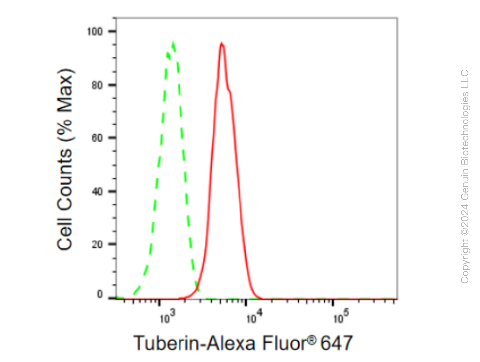 KD-Validated Anti-Tuberin Rabbit Monoclonal Antibody ABG2338