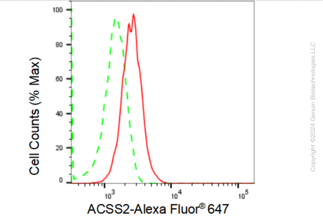KD-Validated Anti-ACSS2 Rabbit Monoclonal Antibody ABG2350