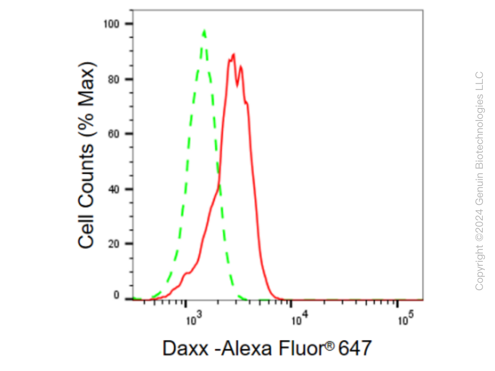 KD-Validated Anti-DAXX Rabbit Monoclonal Antibody ABG2351