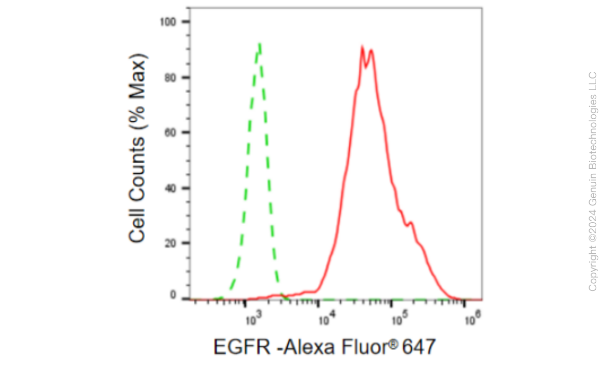 KD-Validated Anti-EGFR Rabbit Monoclonal Antibody ABG2353