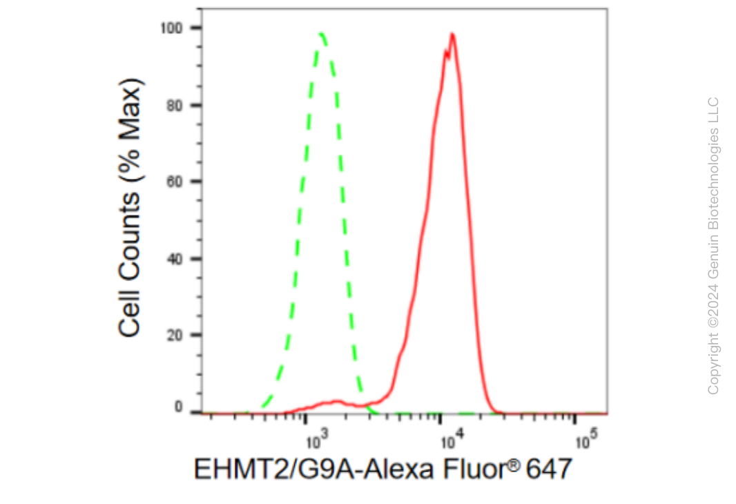 KD-Validated Anti-EHMT2/G9A Rabbit Monoclonal Antibody ABG2359