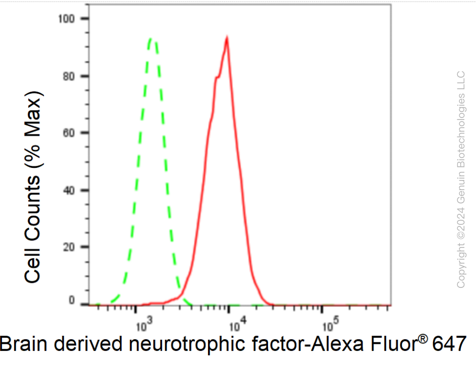 KD-Validated Anti-Brain derived neurotrophic factor Rabbit Monoclonal Antibody ABG2360