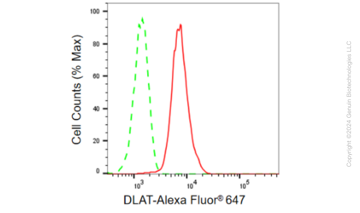 KD-Validated Anti-DLAT Rabbit Monoclonal Antibody ABG2363