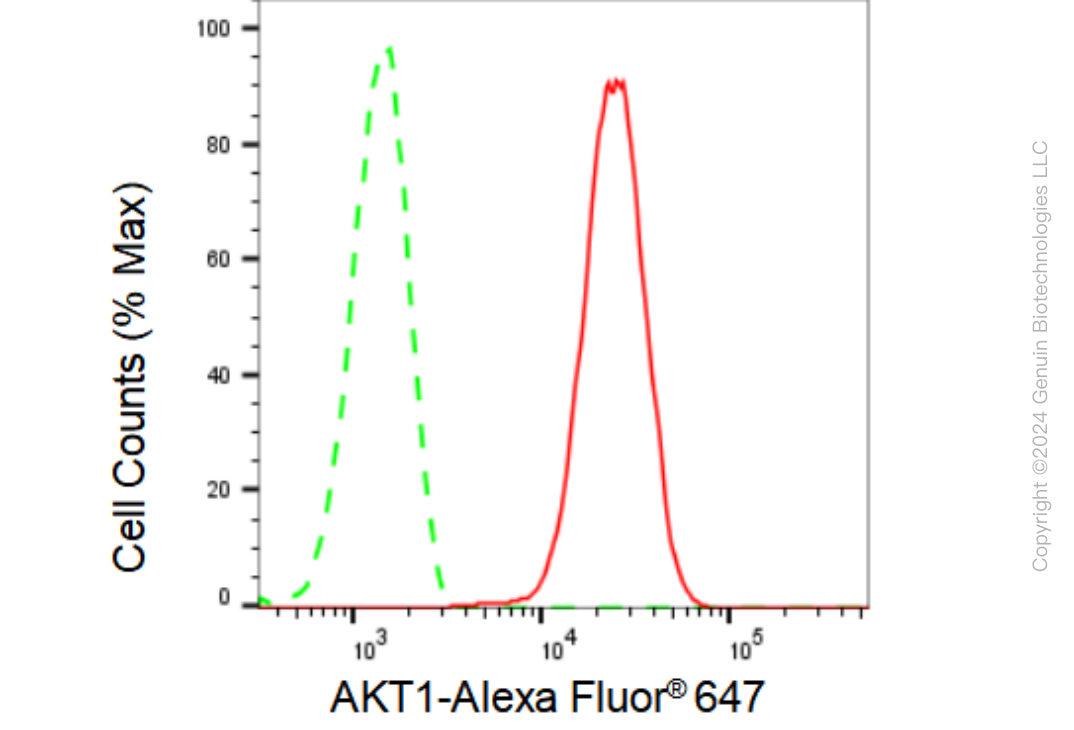 KD-Validated Anti-AKT1 Rabbit Monoclonal Antibody ABG2366