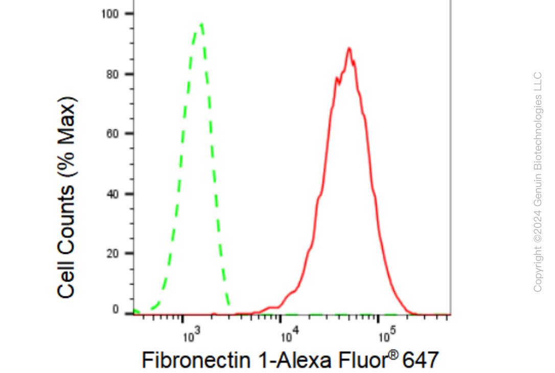 KD-Validated Anti-Fibronectin 1 Rabbit Monoclonal Antibody ABG2367