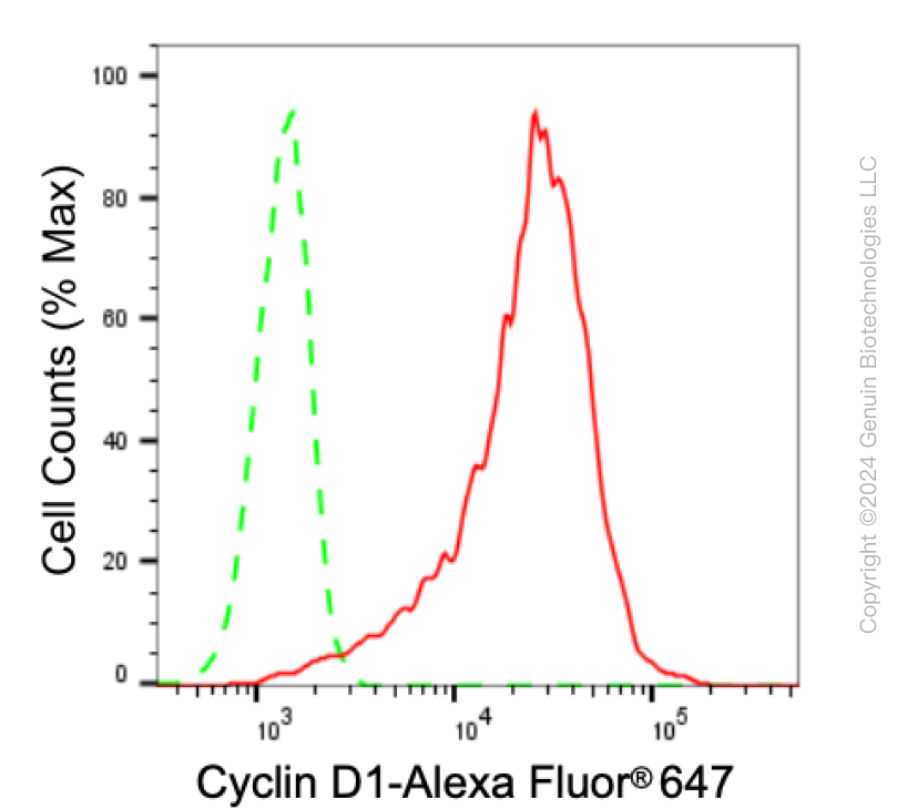 KD-Validated Anti-Cyclin D1 Rabbit Monoclonal Antibody ABG2370