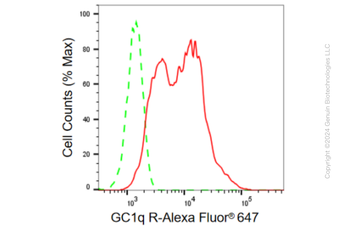 KD-Validated Anti-GC1q R Rabbit Monoclonal Antibody ABG2375