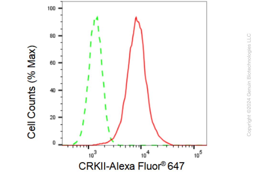 KD-Validated Anti-CRKII Rabbit Monoclonal Antibody ABG2377